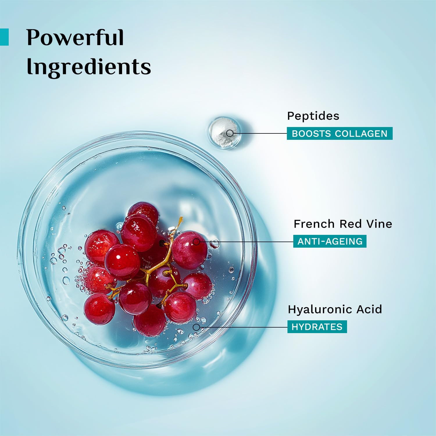 PILGRIM French Red Vine & Hyaluronic acid serum with peptides | Red vine serum for face| For women & men | All skin types | 3