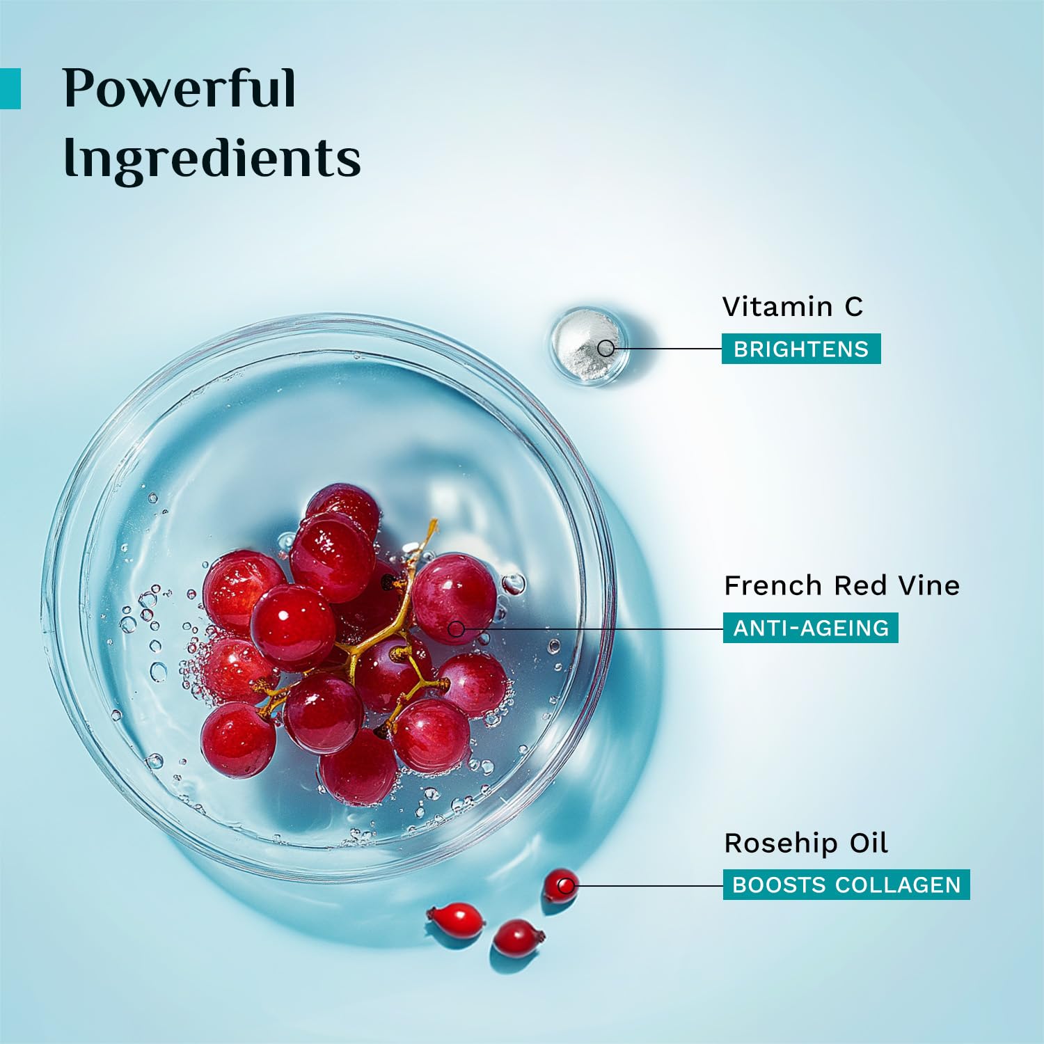 PILGRIM French Red Vine Youthful Glow Moisturizer SPF 30 with Vitamin C, Rosehip Oil For , Sun Protection PA+++, Daily Use, D