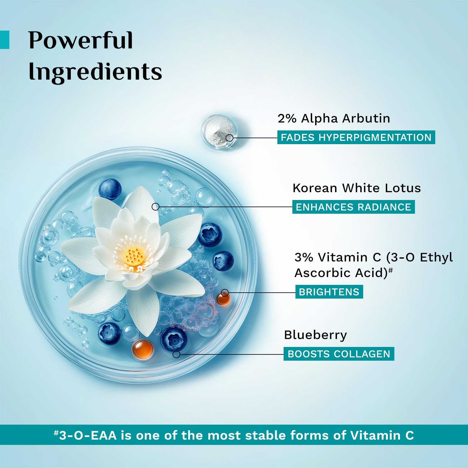 PILGRIM Korean 2% Alpha Arbutin & 3% Vitamin C Brightening Face Serum for glowing skin| Alpha arbutin face serum|All skin typ