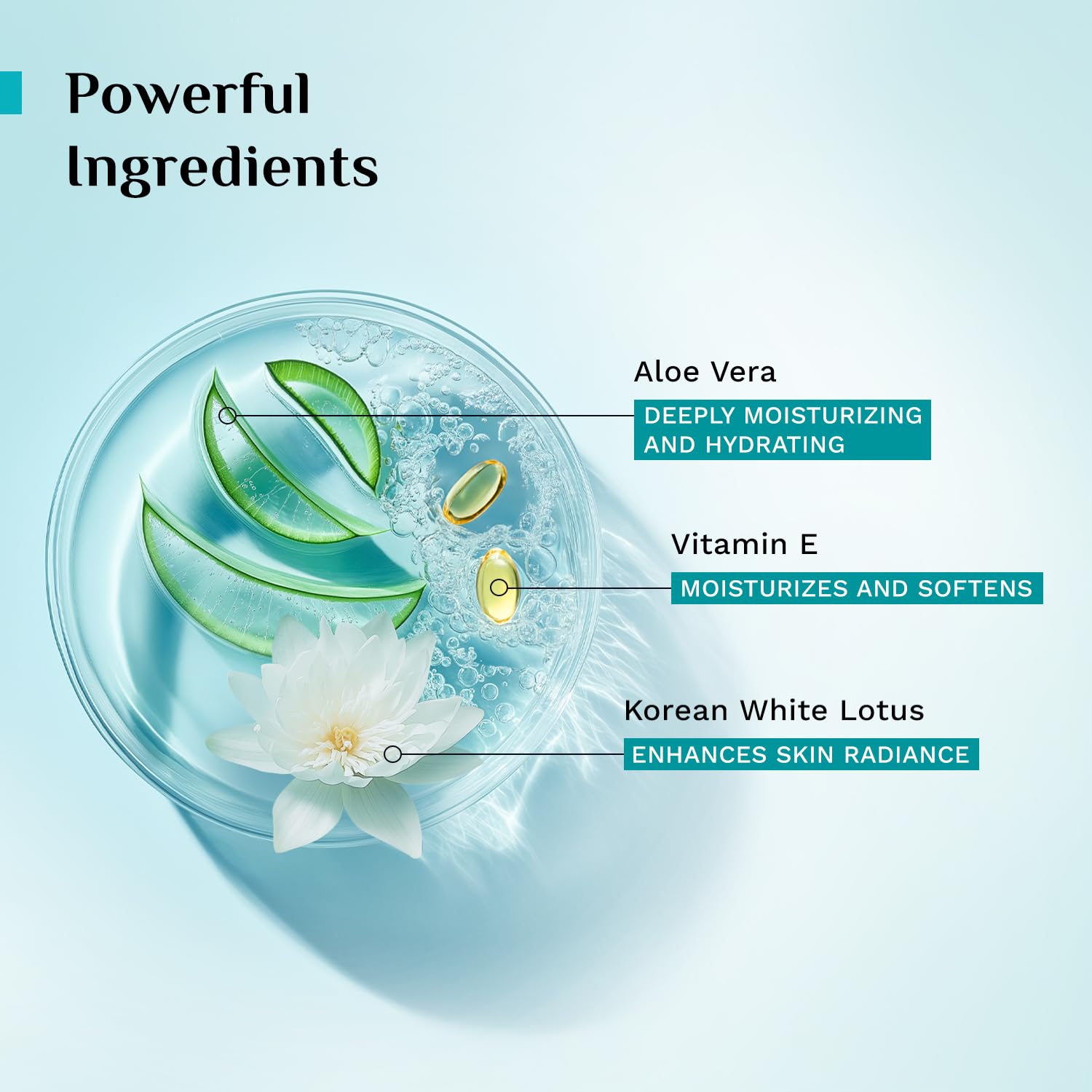 PILGRIM Korean 99% Pure Aloe Vera Gel 200ml with Vitamin E & Vitamin B5 for Face & Hair | Hydrates & Soothes Skin | Condition