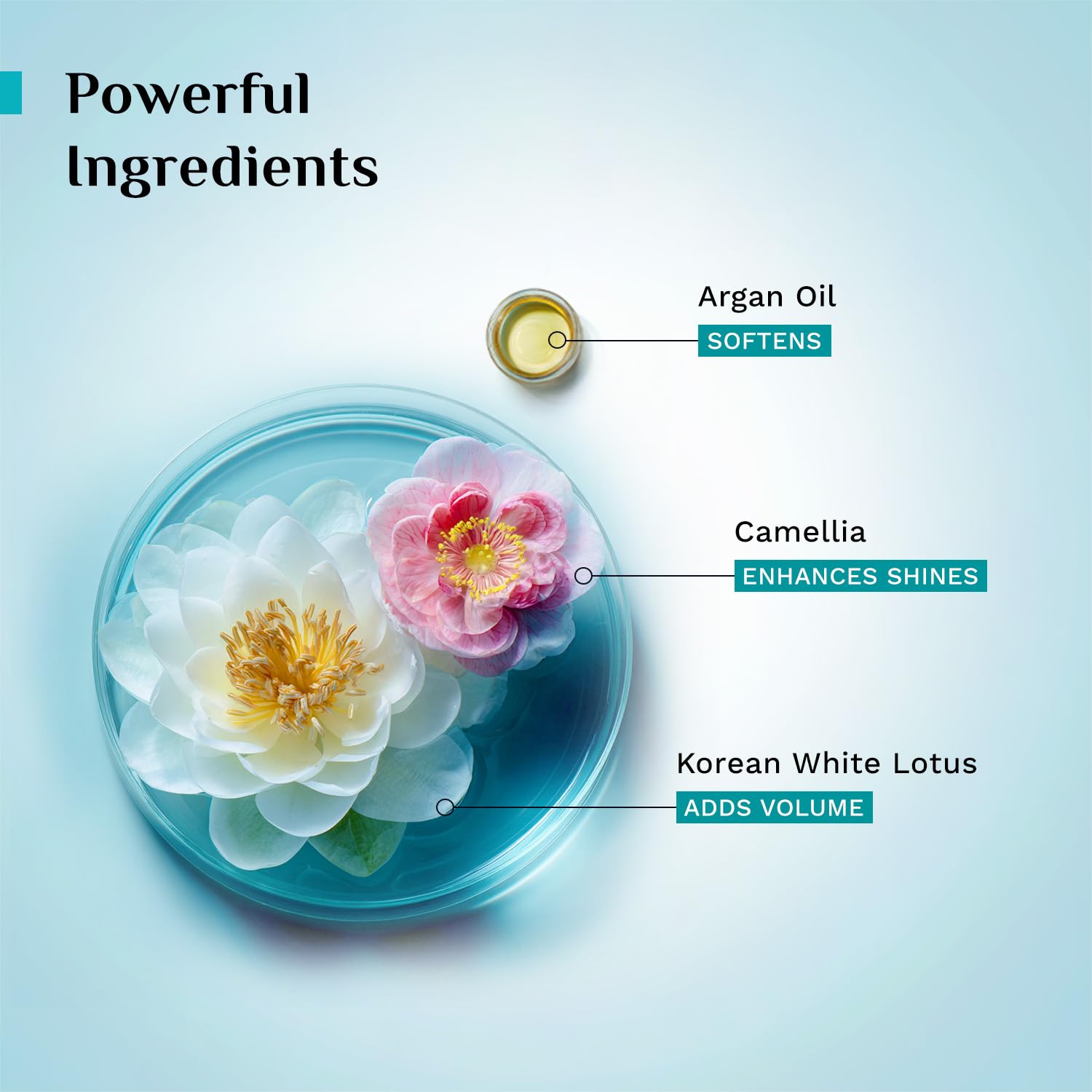 Pilgrim Korean Argan Oil Hair Mask For Dry & Frizzy Hair With White Lotus And Camellia | Hair Mask For Smoothening Hair, Deep