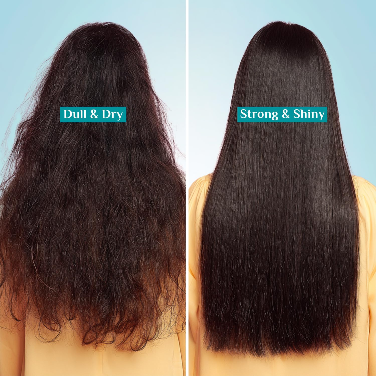 Pilgrim Korean Argan Oil Hair Mask For Dry & Frizzy Hair With White Lotus And Camellia | Hair Mask For Smoothening Hair, Deep