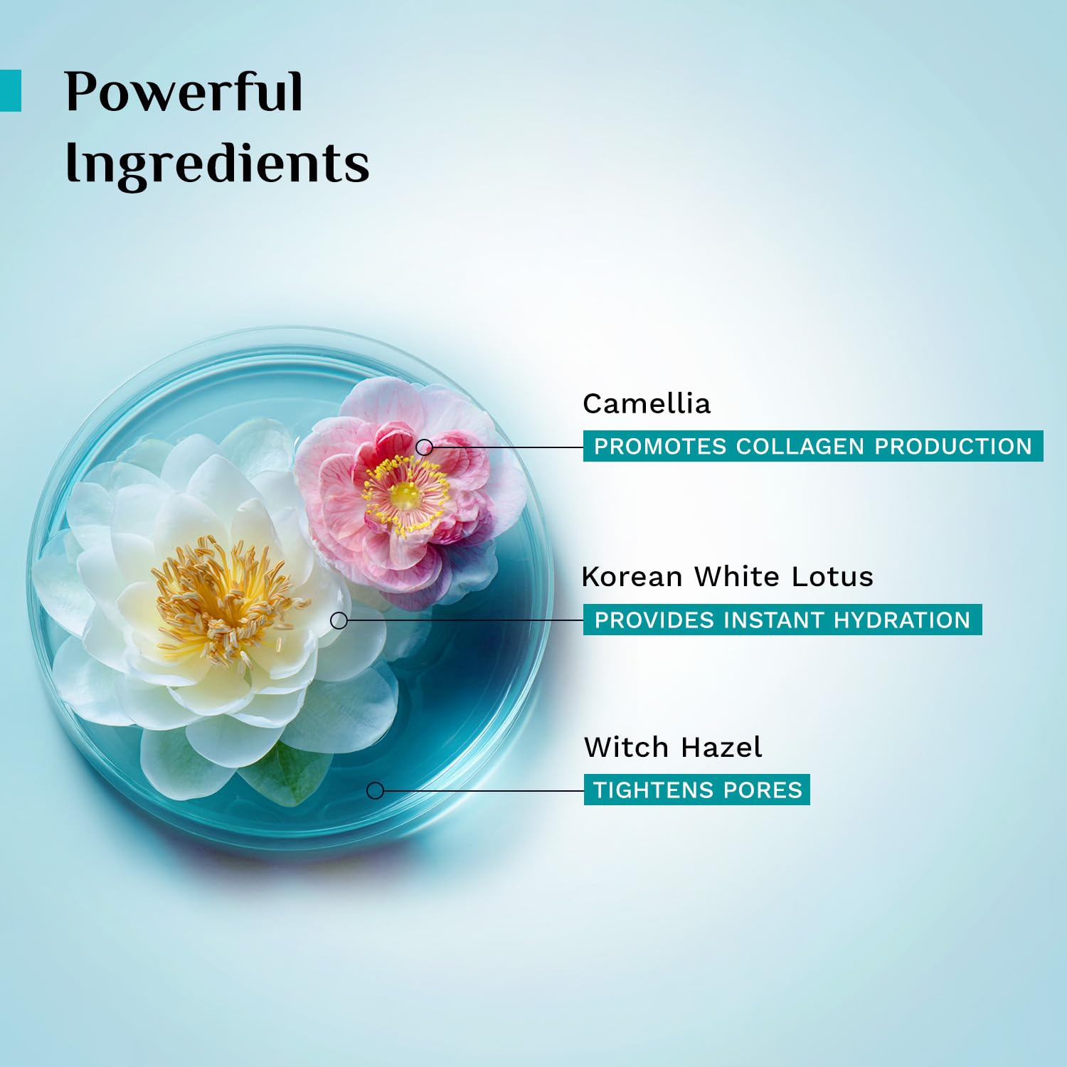 PILGRIM Korean Beauty White Lotus Refreshing Face Mist & Toner, Alcohol-Free, pH-Balanced, 100 ml - packaging
