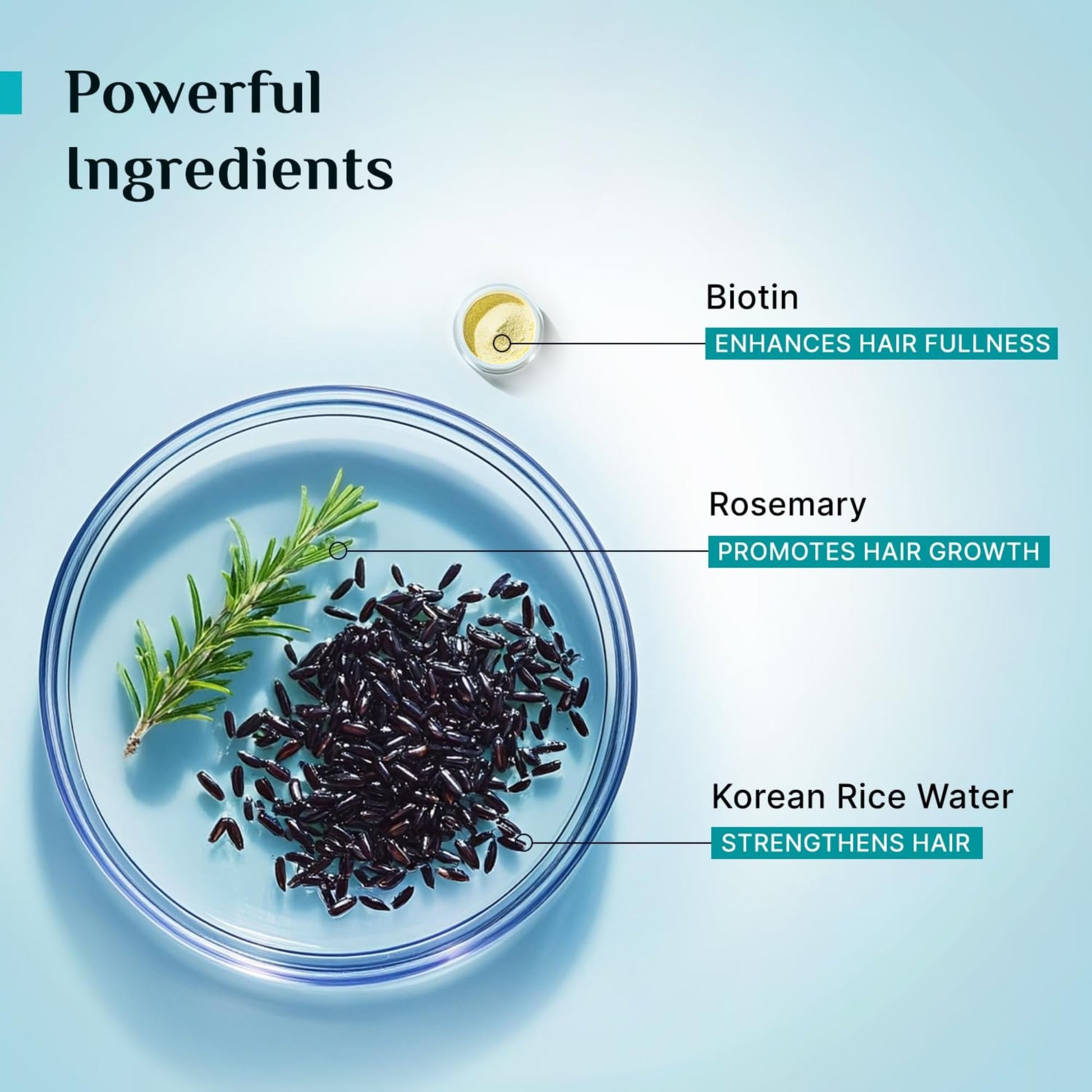Pilgrim Korean Black Rice and Rosemary Water Spray With Biotin for Hair Growth 100ml | Hair Spray for Regrowth | Thicker & St
