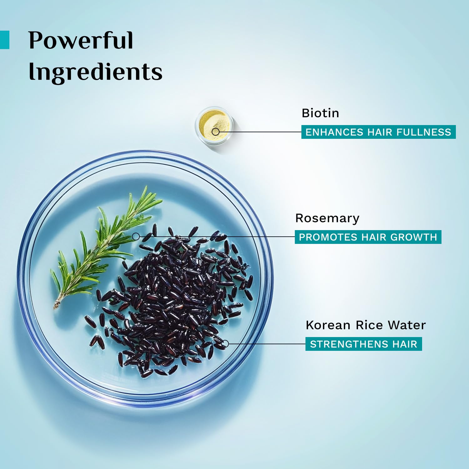 Pilgrim Korean Black Rice and Rosemary Water Spray With Biotin for Hair Growth 100ml | Hair Spray for Regrowth | Thicker & St