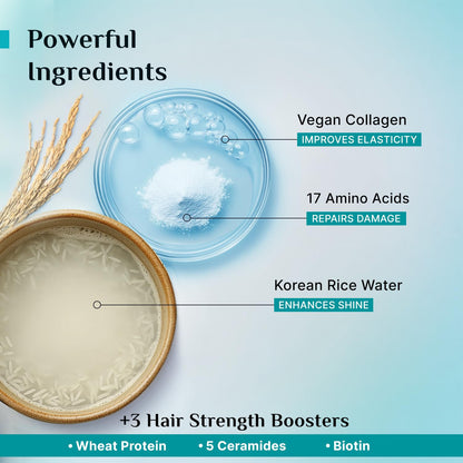 Pilgrim Korean Rice Water & Collagen Advanced Damage Repair Conditioner - 200ml | With 17 Amino Acids, Wheat Protein & Cerami