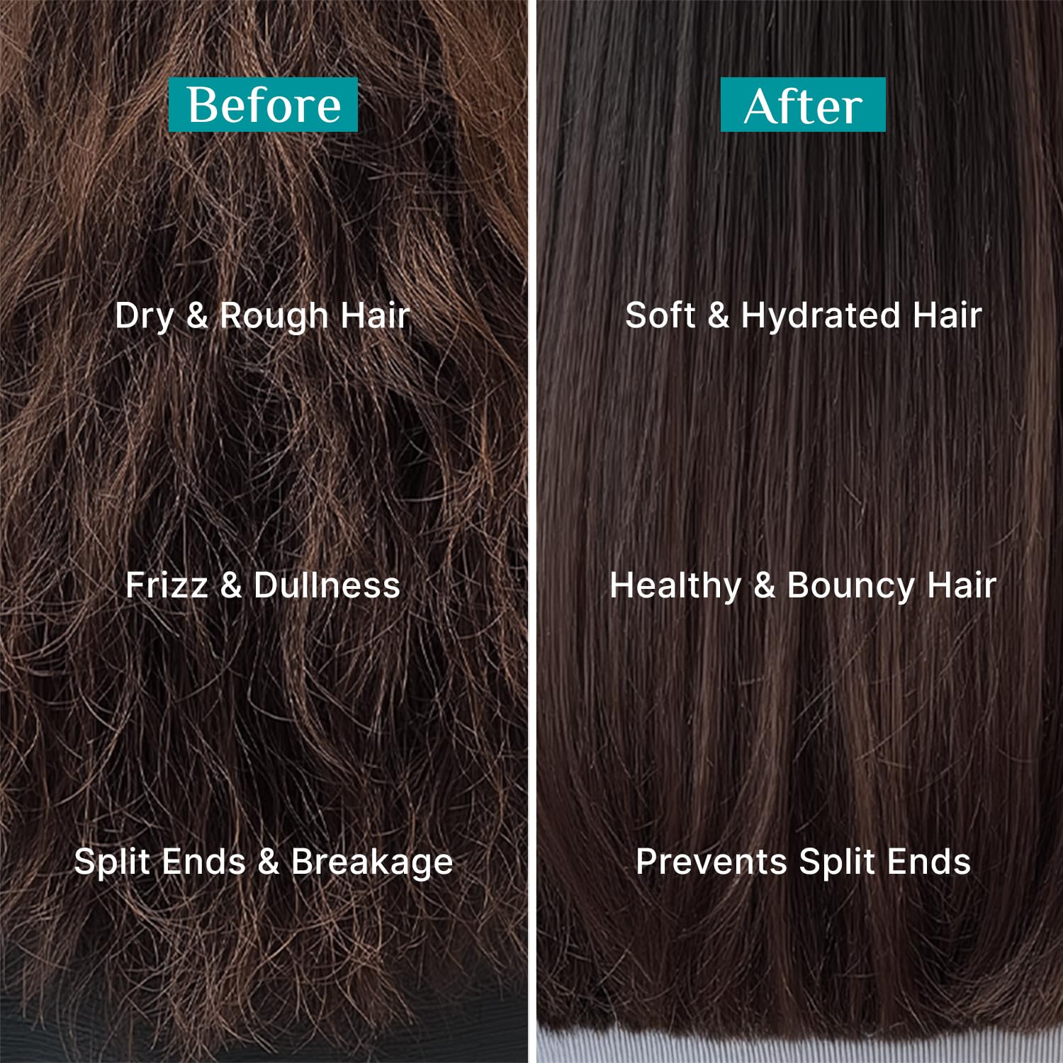 Pilgrim Korean Rice Water & Collagen Advanced Damage Repair Shampoo - 200ml | with 17 Amino Acids, Wheat Protein & 5 Ceramide