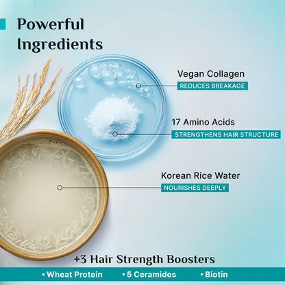 Pilgrim Korean Rice Water & Collagen Advanced Damage Repair Shampoo - 200ml | with 17 Amino Acids, Wheat Protein & 5 Ceramide