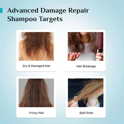 Pilgrim Korean Rice Water & Collagen Advanced Damage Repair Shampoo - 200ml | with 17 Amino Acids, Wheat Protein & 5 Ceramide
