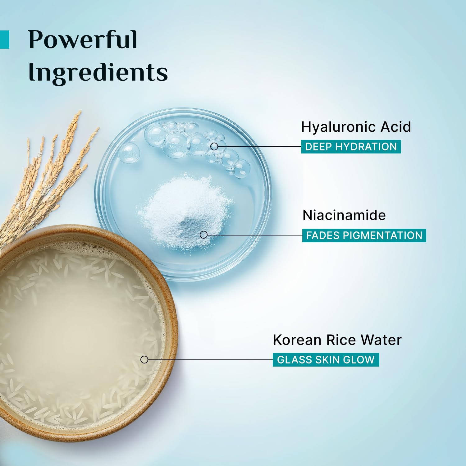 Pilgrim Korean Rice Water Hydra Glow Gel Face Wash for Hydrated Glowing Skin | With 2% Niacinamide for Dark Spots, Hyaluronic