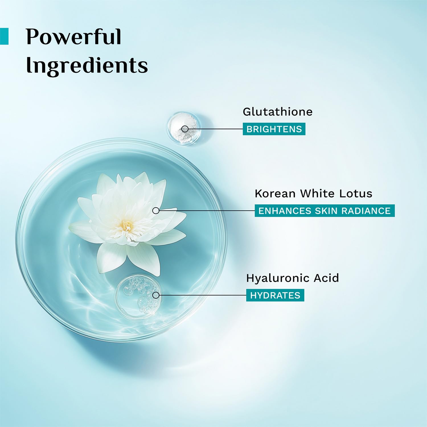 PILGRIM Korean White Lotus Face Cream with SPF 50 | White Lotus Day cream for women daily use | Face cream for dry skin, sens