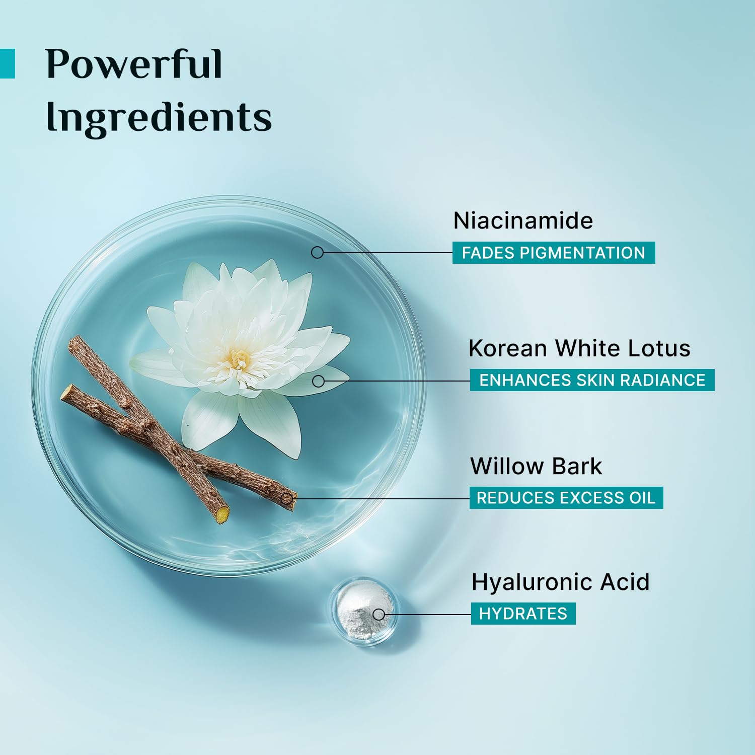 Pilgrim Oil-Free Gel Moisturizer with Hyaluronic Acid & Willow Bark Extract, 50g, for Oily Skin, Unisex Korean Skincare - pac