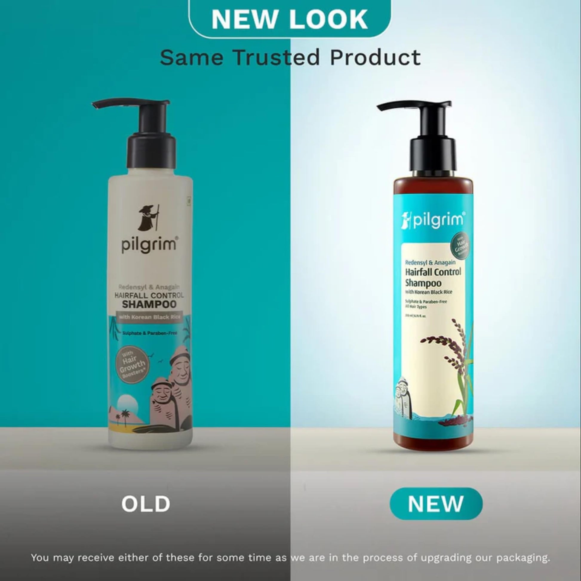 Pilgrim Redensyl & Anagain Hairfall Control Shampoo with Korean Black Rice 200ml | Anti Hairfall shampoo for Men & Women | Re