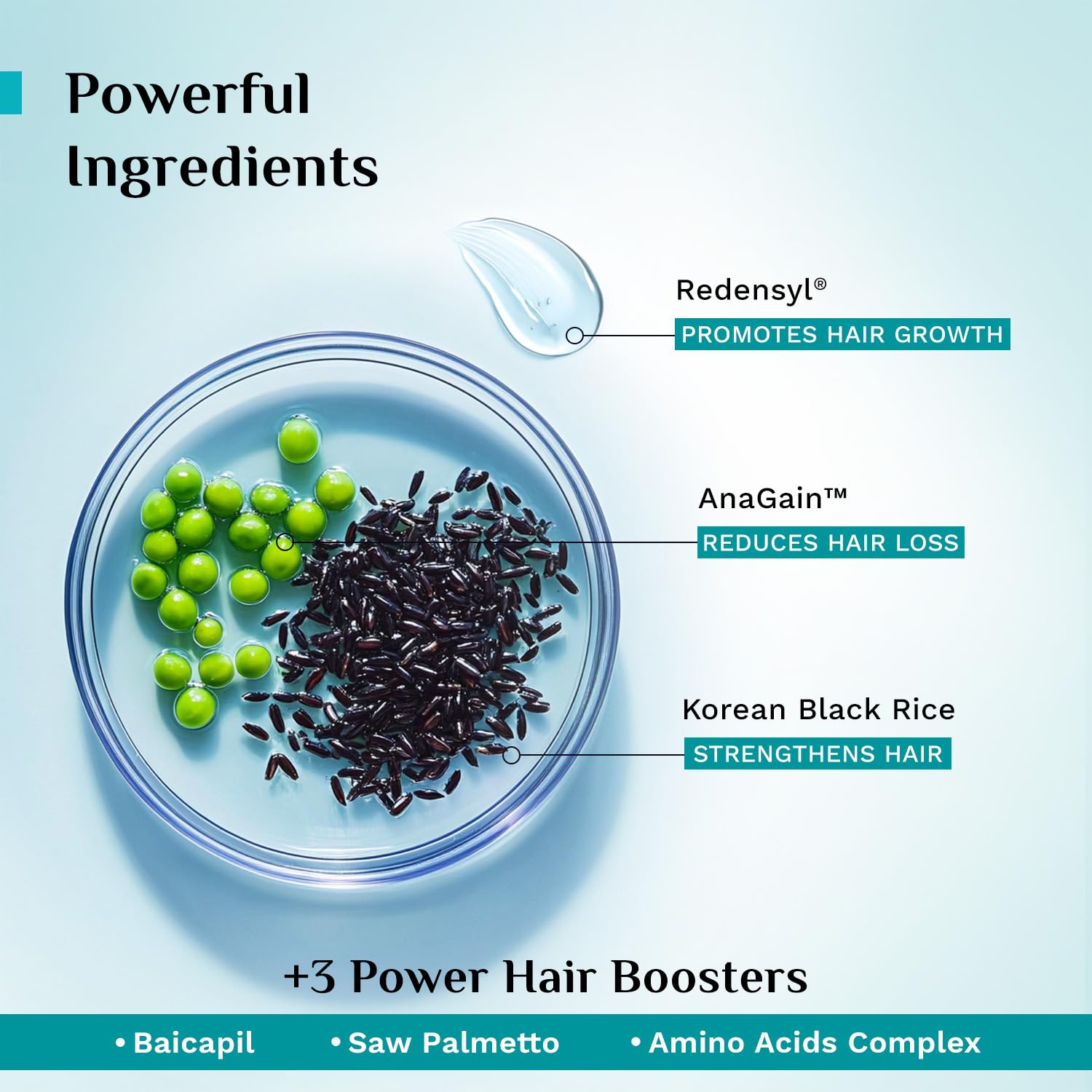 Pilgrim Redensyl & Anagain Hairfall Control Shampoo with Korean Black Rice 200ml | Anti Hairfall shampoo for Men & Women | Re
