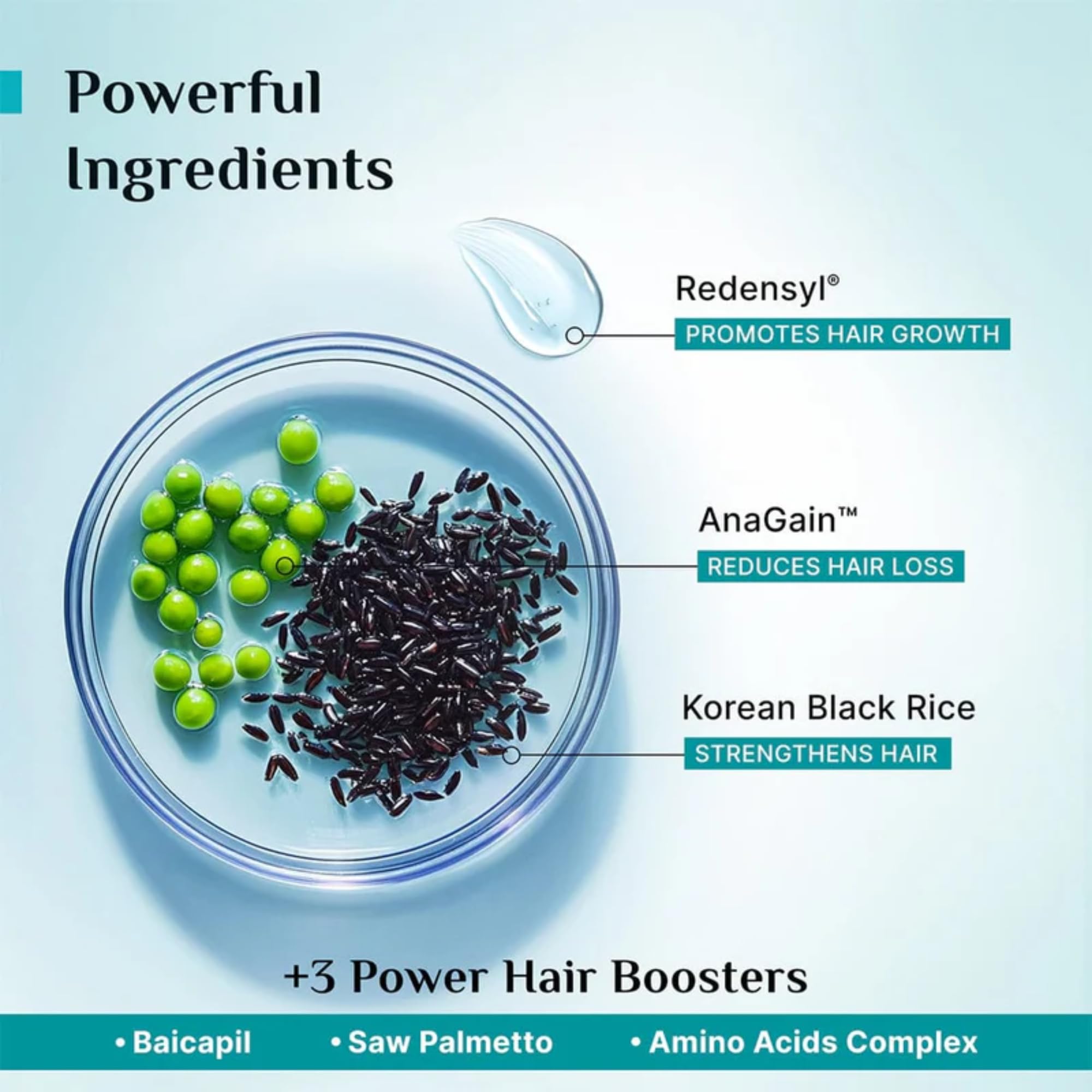 Pilgrim Redensyl & Anagain Hairfall Control Shampoo with Korean Black Rice 200ml | Anti Hairfall shampoo for Men & Women | Re