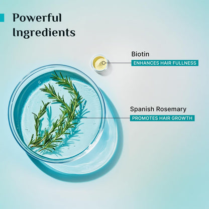 Pilgrim Spanish Rosemary & Biotin Anti Hairfall Conditioner for Reducing Hair Loss & Breakage | Upto 95% stronger hairs | Sui