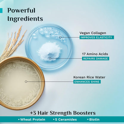 Pilgrim Unscented Korean Rice Water & Collagen Advanced Damage Repair Mask - 200ml|Deep Repair for Dry,Frizzy & Damaged Hair|