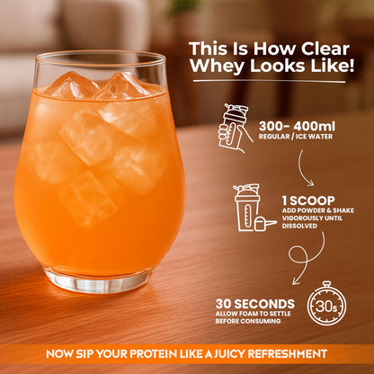 Protyze Anytime Clear Whey Protein Powder, 24g Protein, 7.2g BCAAs, Non GMO, Gluten Free - close-up detail (58)