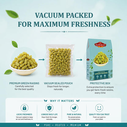 PRP RUDRAKSH Seedless Green Raisins, Naturally Sweet Kismis - Dry Fruit Snack - close-up detail