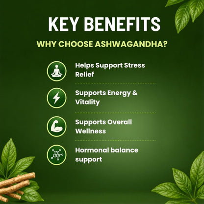 PURE NUTRITION NATURAL TREASURES Ashwagandha Powder, 100g, USDA Organic Certified, Herbal Supplement - front view (16)