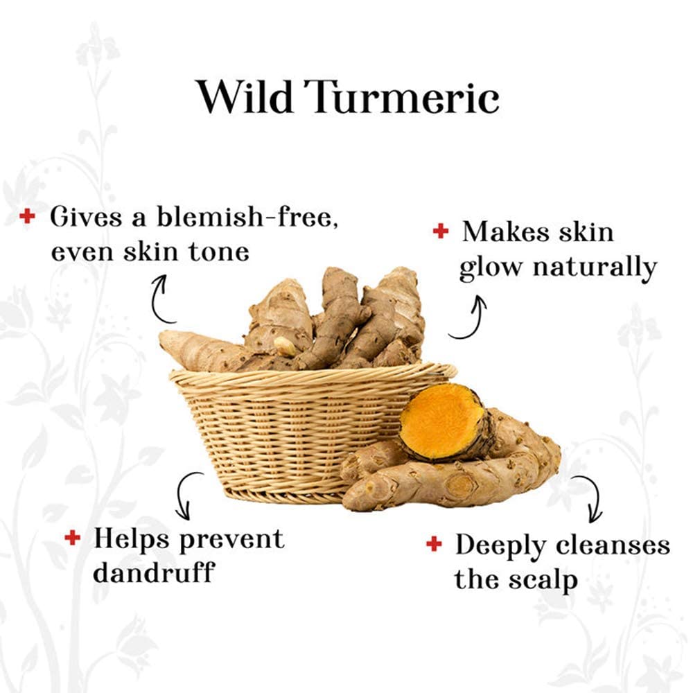Pure Pik Organic Kasturi Haldi Powder, Triple Filtered Wild Turmeric Face Pack - close-up detail