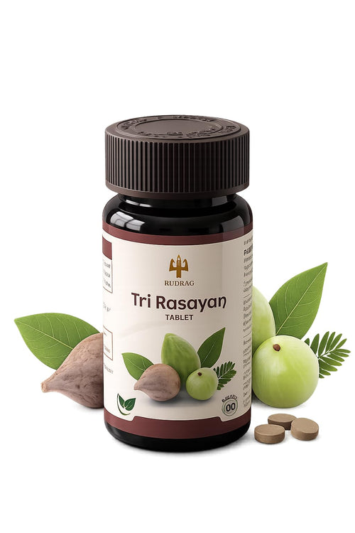 RUDRAG Tri Rasayan Triphala Tablets, 60 Count, 4:2:1 Haritaki Bibhitaki Amla Formula, GMP Certified