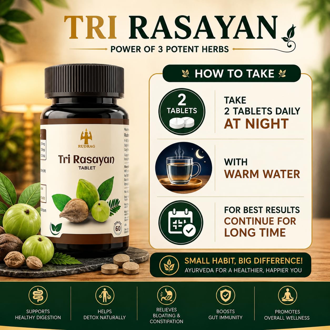 RUDRAG Tri Rasayan Triphala Tablets, 60 Count, 4:2:1 Haritaki Bibhitaki Amla Formula, GMP Certified - close-up detail