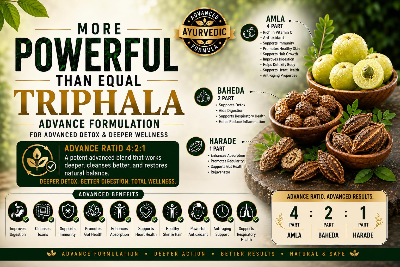 RUDRAG Tri Rasayan Triphala Tablets, 60 Count, 4:2:1 Haritaki Bibhitaki Amla Formula, GMP Certified - in use