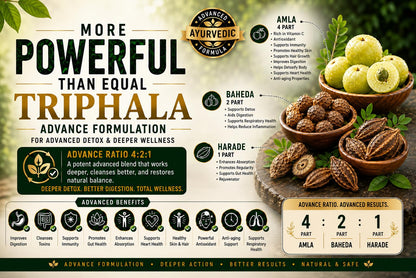 RUDRAG Tri Rasayan Triphala Tablets, 60 Count, 4:2:1 Haritaki Bibhitaki Amla Formula, GMP Certified - in use