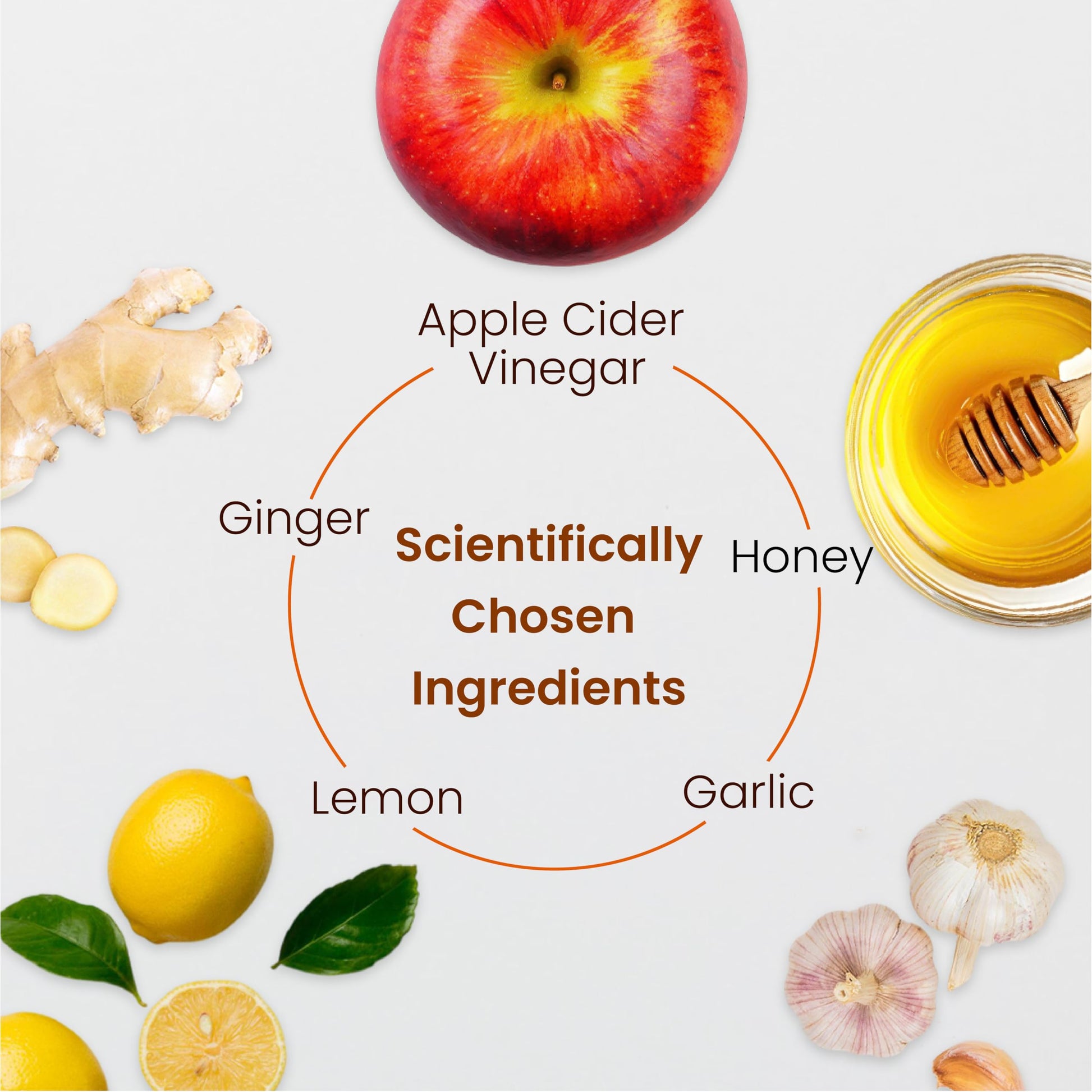 SANDOOK Lipoveda Juice, 1L Herbal Supplement with Apple Cider Vinegar, Lemon, Honey, Ginger and Garlic - ingredients panel