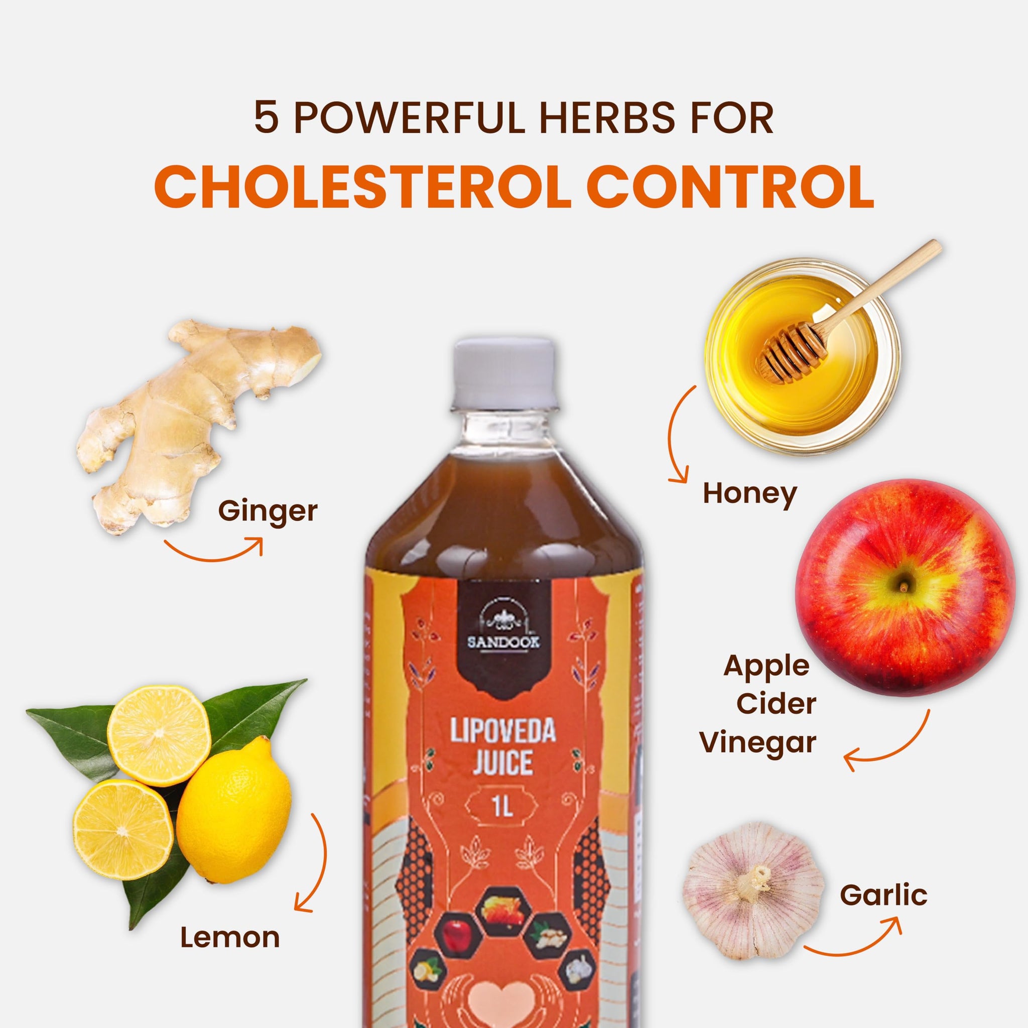 SANDOOK Lipoveda Juice, 1L Herbal Supplement with Apple Cider Vinegar, Lemon, Honey, Ginger and Garlic - size and scale