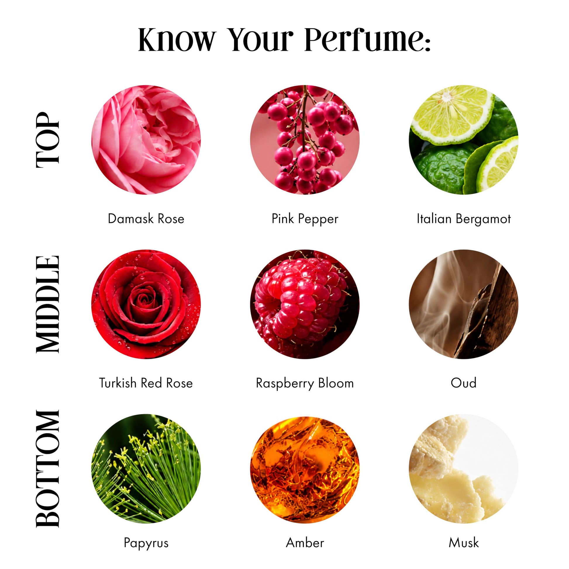 Secret Alchemist Madurai Jasmine Eau de Parfum (EDP) 100ml - Unisex Perfume, Approximately 800 Sprays - packaging (24)