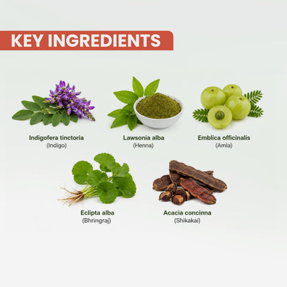 Shahnaz Herbals Natural Herbal Hair Color, Ayurvedic Henna Hair Dye - Hair Coloring Agent - packaging (6)