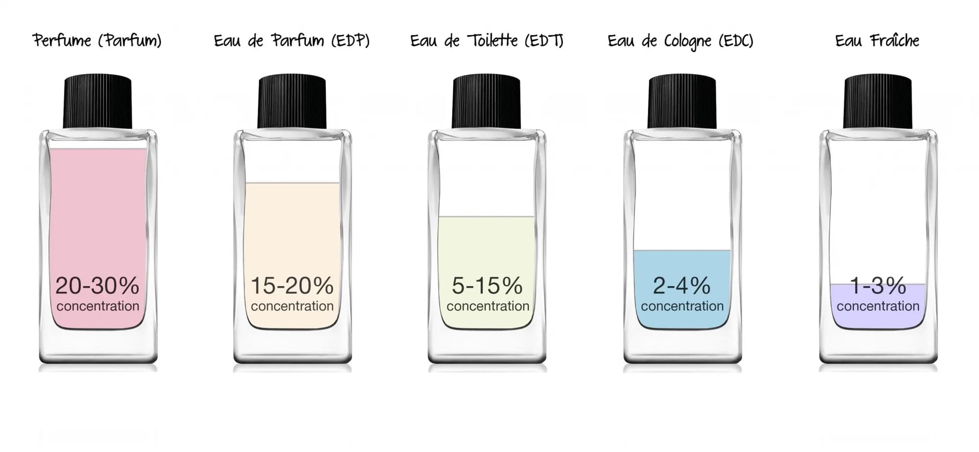 Shriex Exotica Eau de Parfum, 50ml, Unisex Fragrance for Men and Women - close-up detail