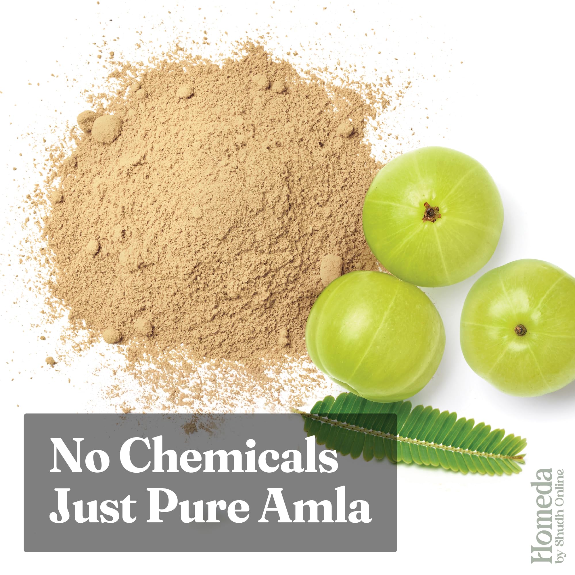 Shudh Online Organic Amla Powder, Seedless Gooseberry Fruit Churna, Edible and for Hair Care - close-up detail