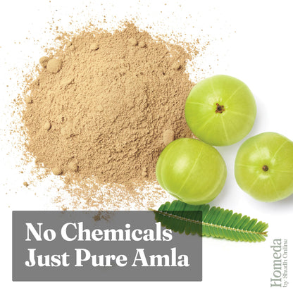 Shudh Online Organic Amla Powder, Seedless Gooseberry Fruit Churna, Edible and for Hair Care - close-up detail