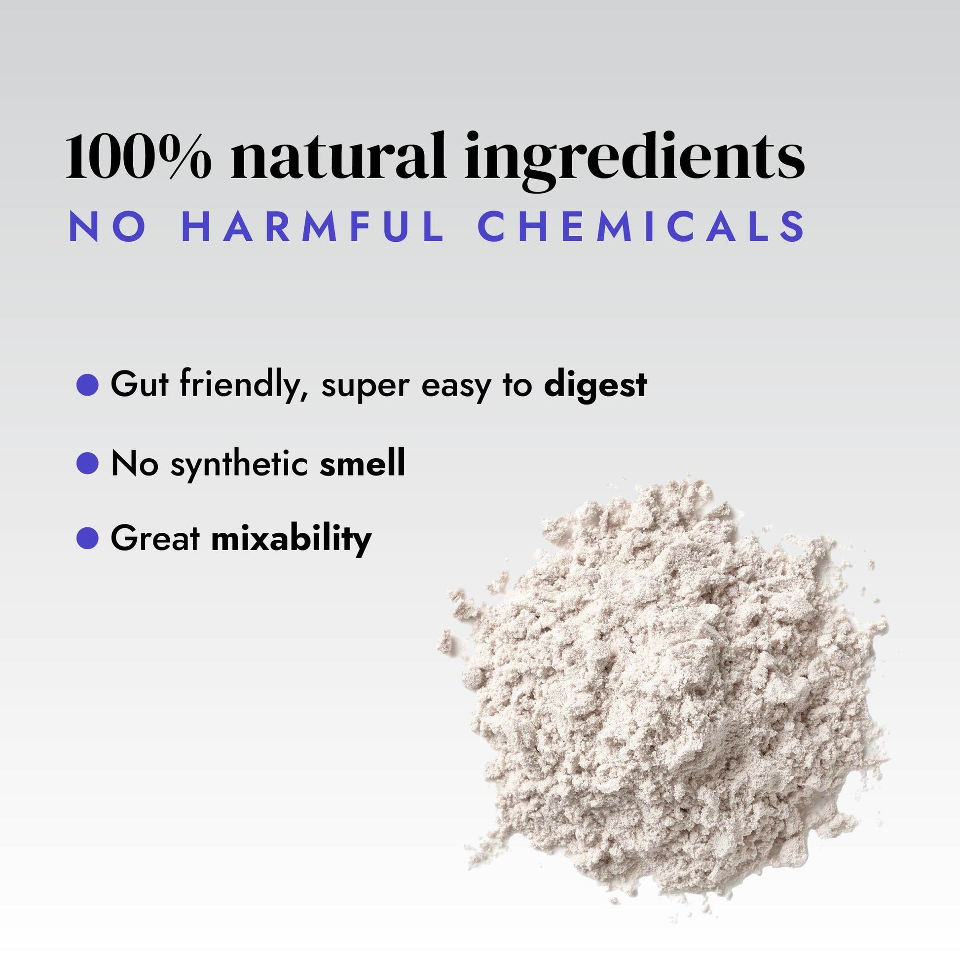 Shyft Plant Protein Isolate Pea Rice Powder, 24g Protein, 4.2g BCAA, No Added Sugar - ingredients panel (36)