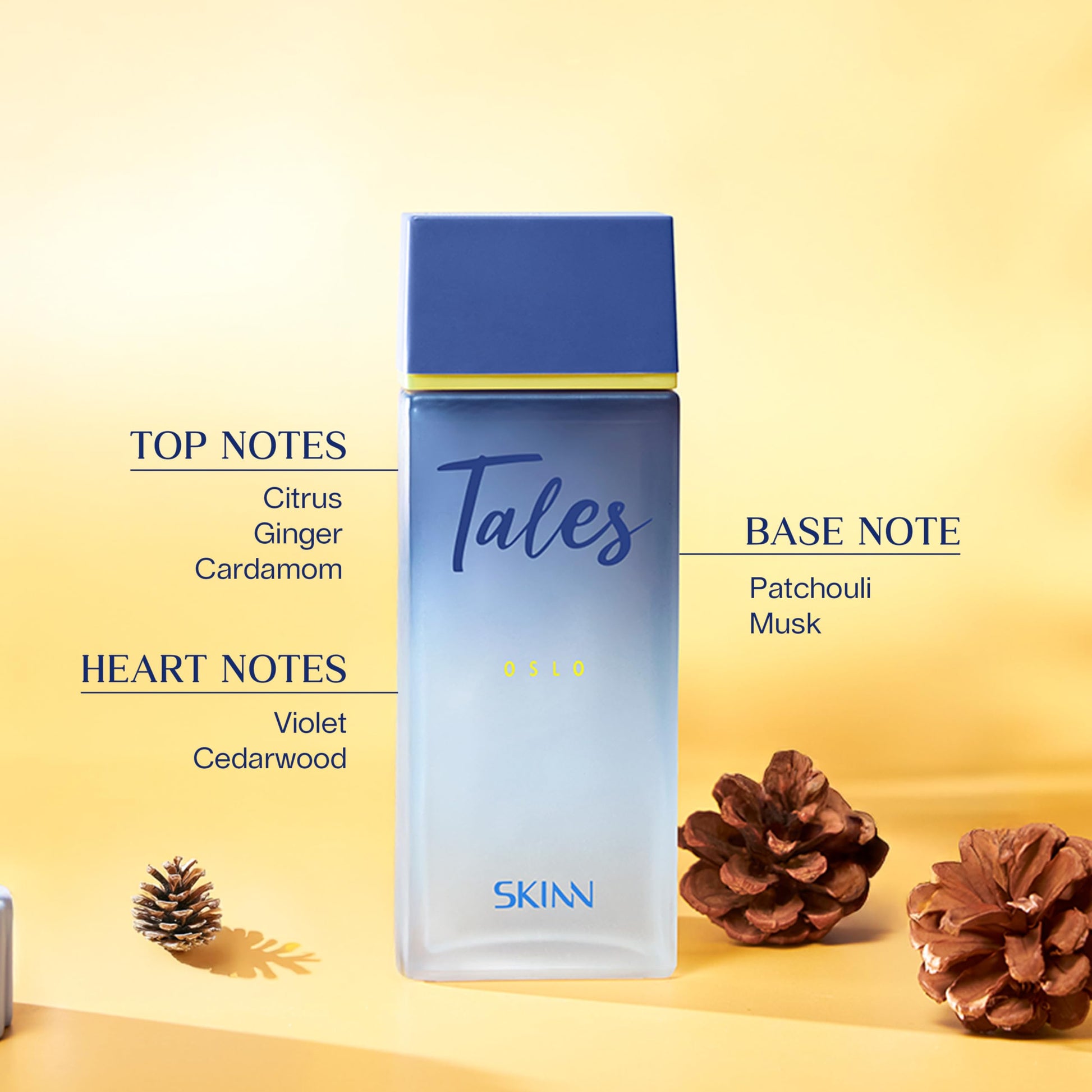 Skinn By Titan Tales Oslo Eau de Parfum for Men, 100ml, Modern Woody Spicy Scent, IFRA Certified - front view