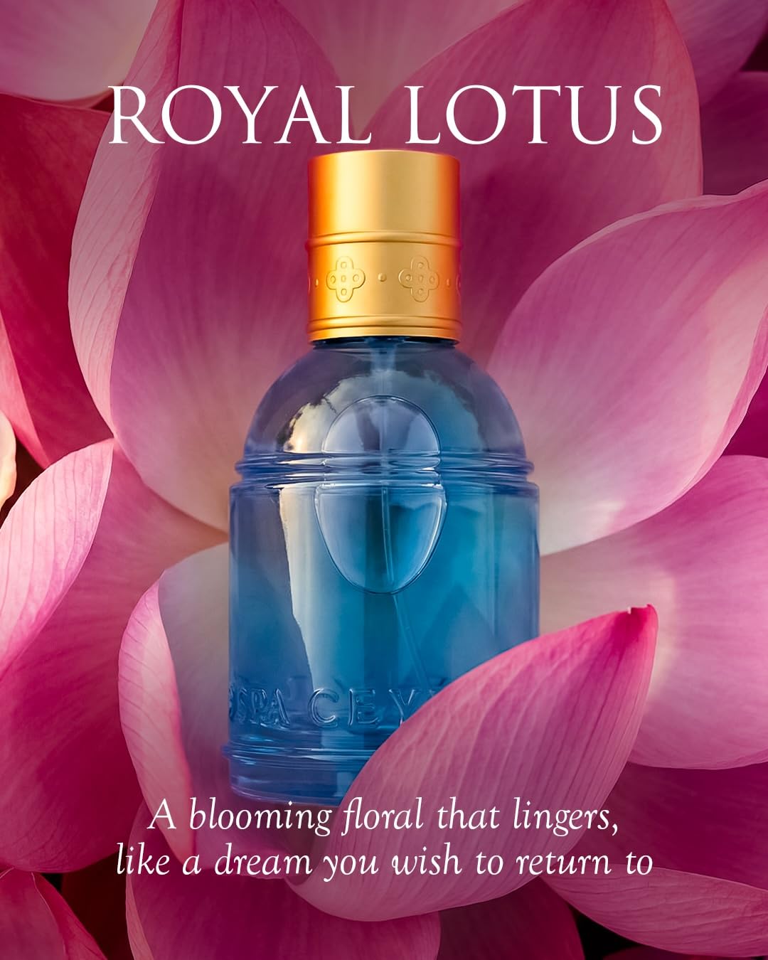 SPA CEYLON Eau de Parfum Spray, 50ml, Vegan Formula with Floral Notes, Spice Accents, and Amber Base - close-up detail (30)
