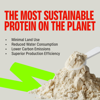 Superyou Pro Fermented Yeast Protein Isolate Protein Supplement Powder, Vegan, 24g Protein - label detail (23)