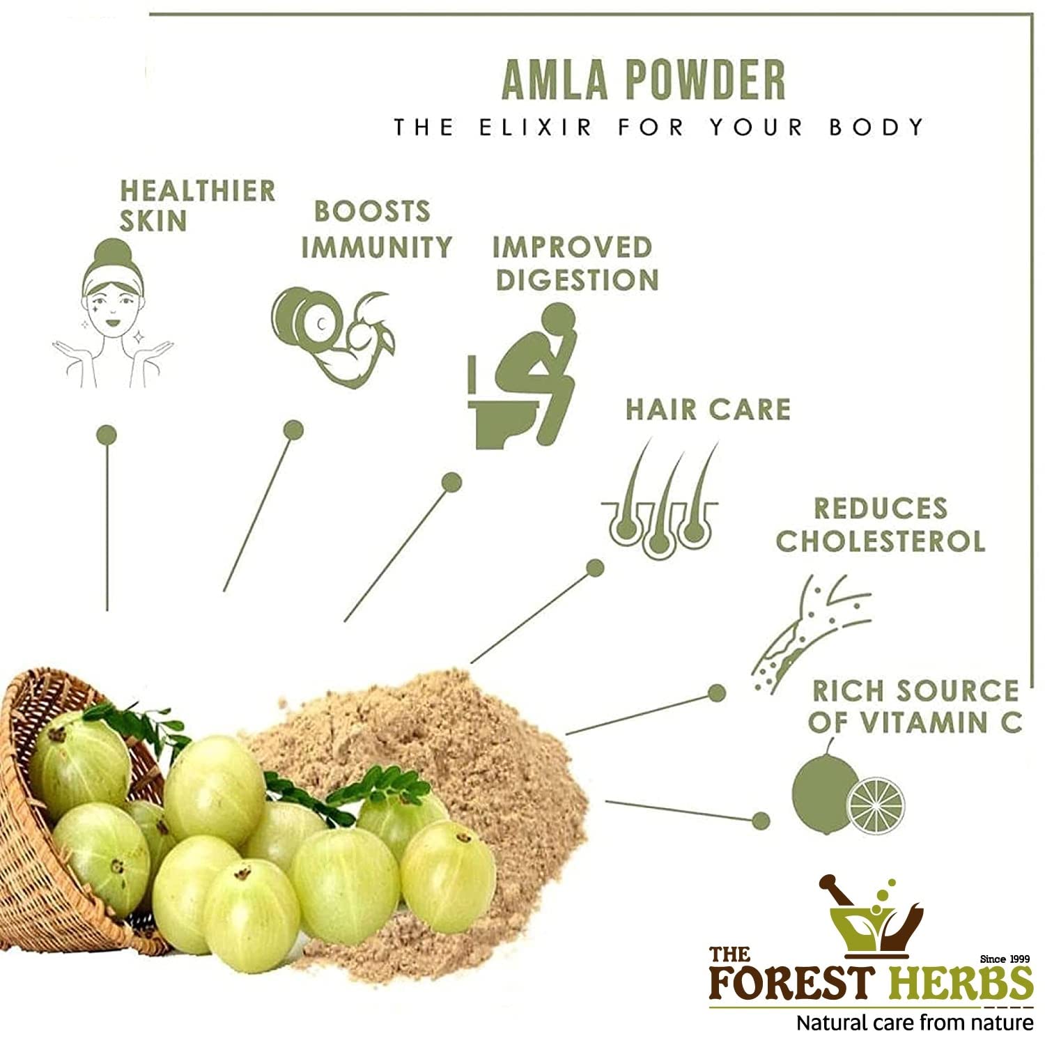The Forest Herbs Dry Amla Pieces (Dried Gooseberry) 500g, Whole, No Salt or Sugar - back view