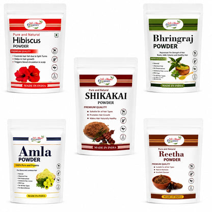 The Village Organic Herbal Powder Combo Pack for Hair & Skin Care - 5 Ayurvedic Herbs