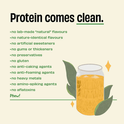 The Whole Truth Plant Protein Isolate Powder, 1kg, 25g Protein Per Scoop, Pea and Rice Blend - in use (16)