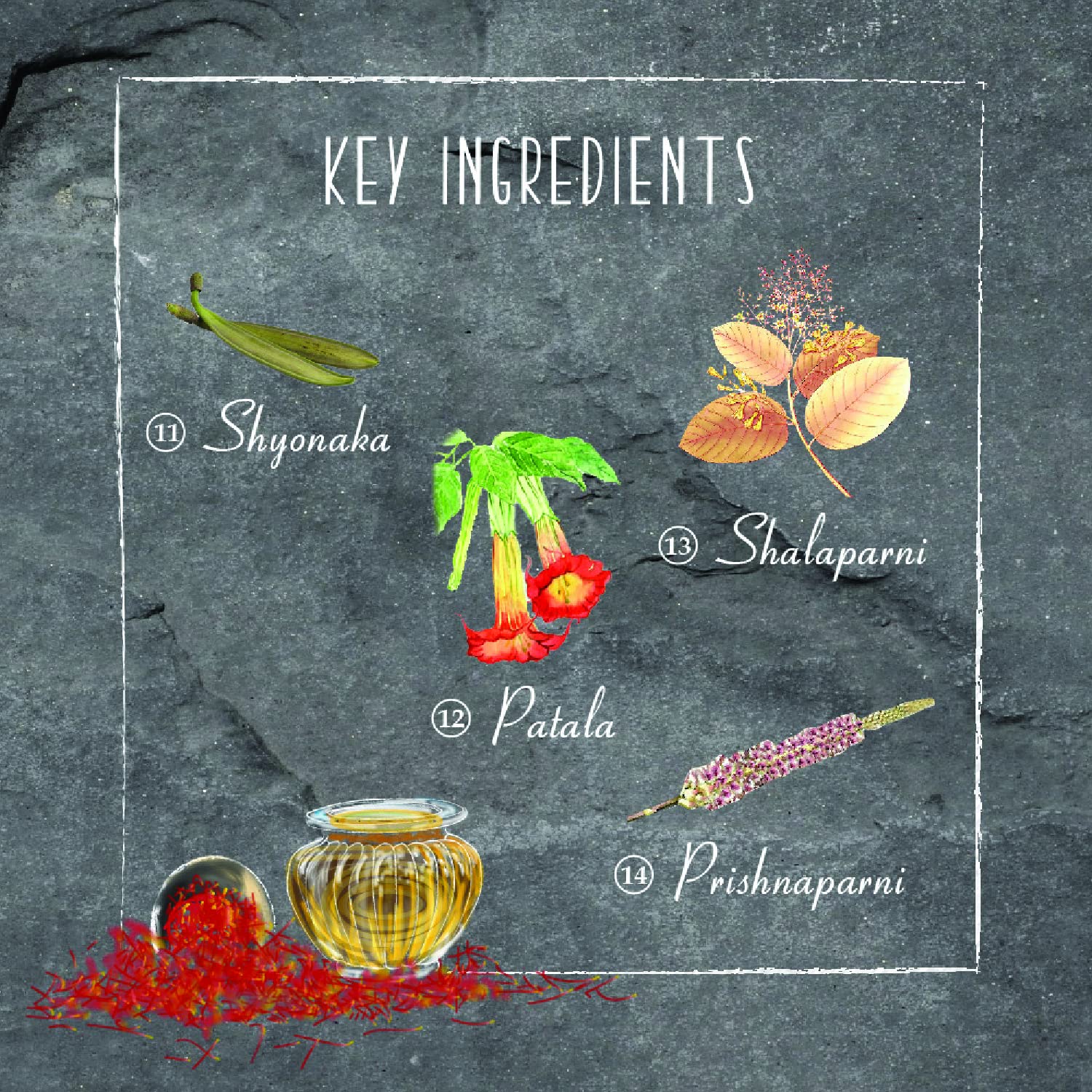 Timeless Beauty Secrets Indus Valley Organic Kumkumadi Oil, 15ml, Herbal Facial Serum - label detail