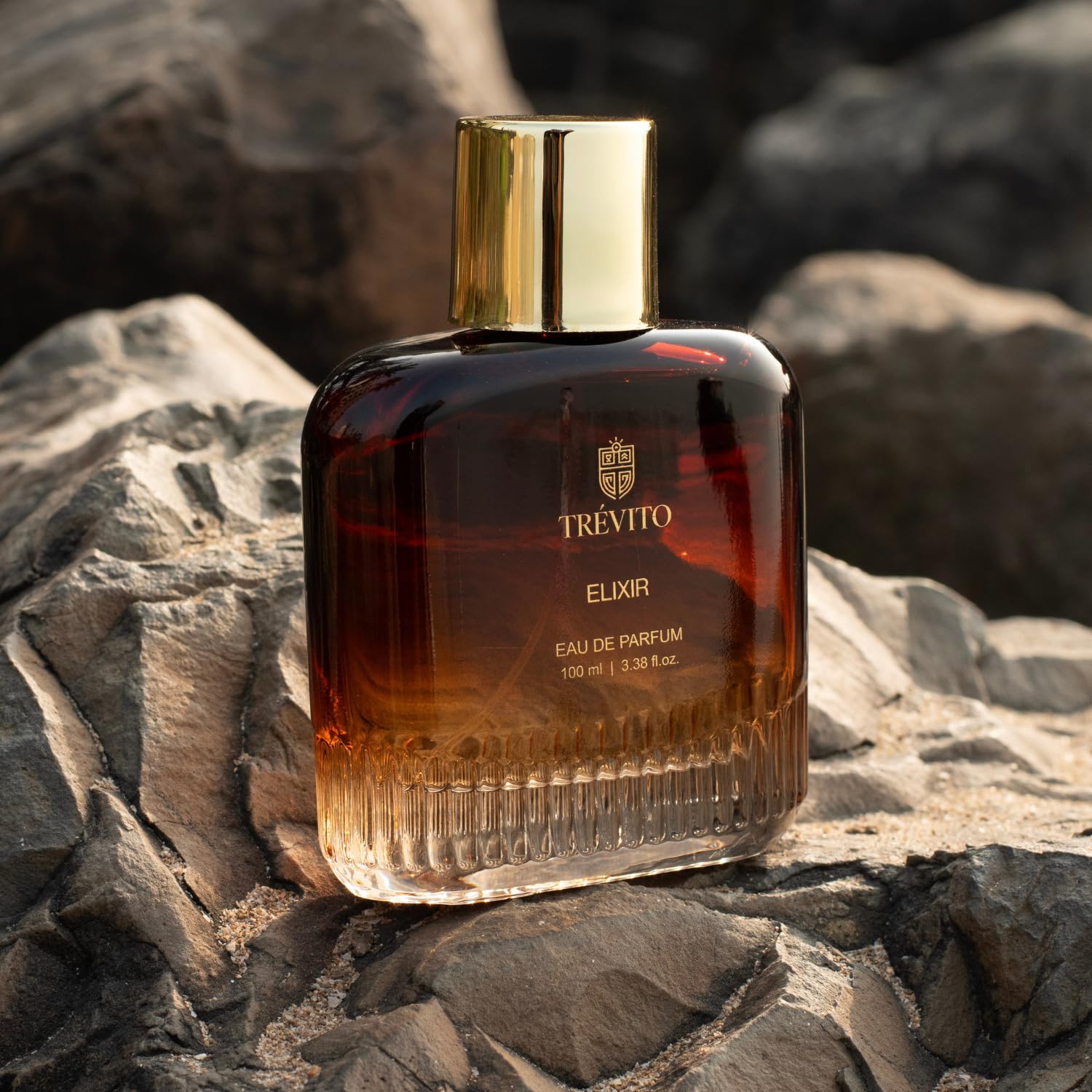 TRÉVITO Ellixir Eau de Parfum for Men, 100ml Spray, Fougere Woody, Brown Gold Bottle, IFRA-Certified - packaging