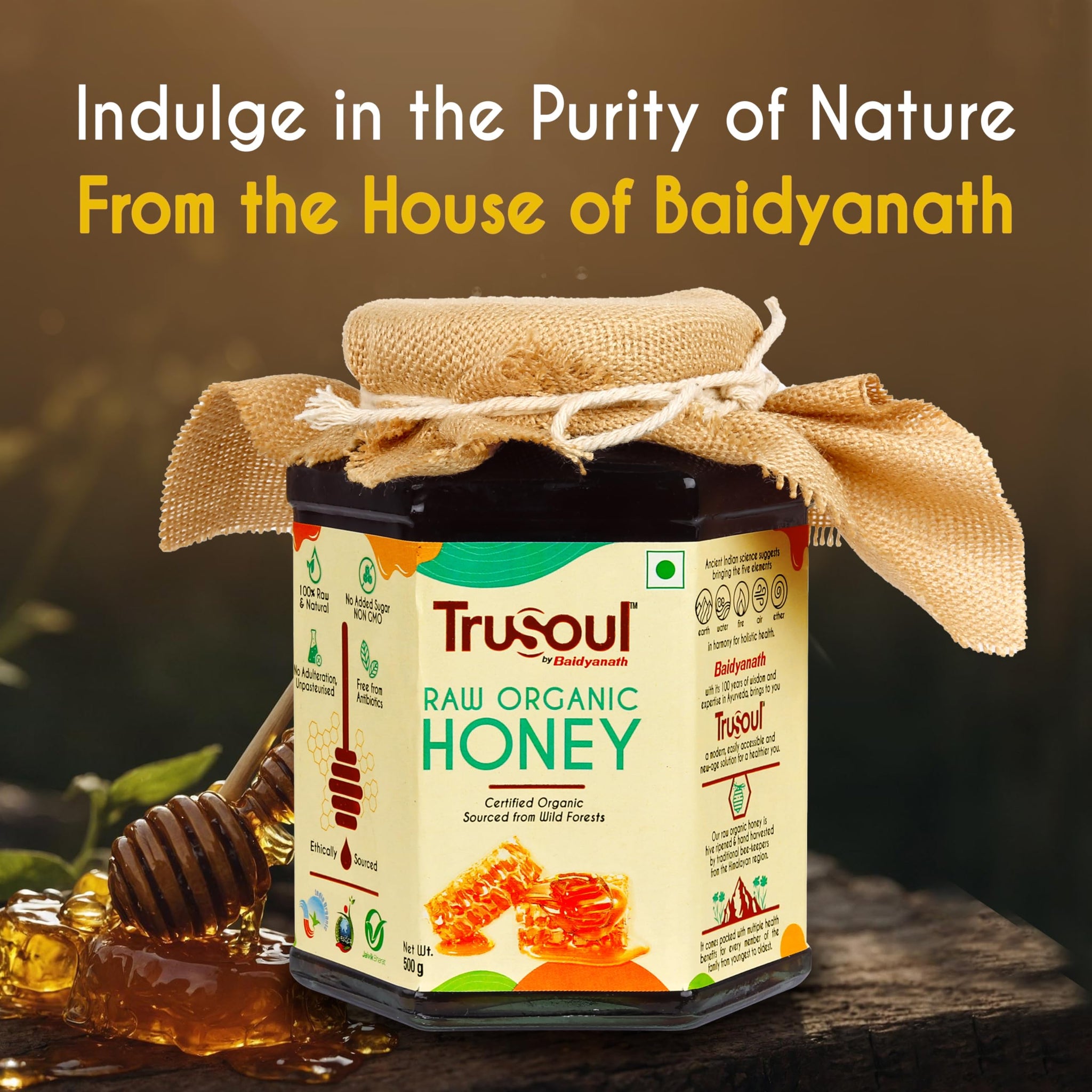 TRUSOUL Raw Organic Honey, 500g, NPOP Organic Certified Himalayan Honey - back view