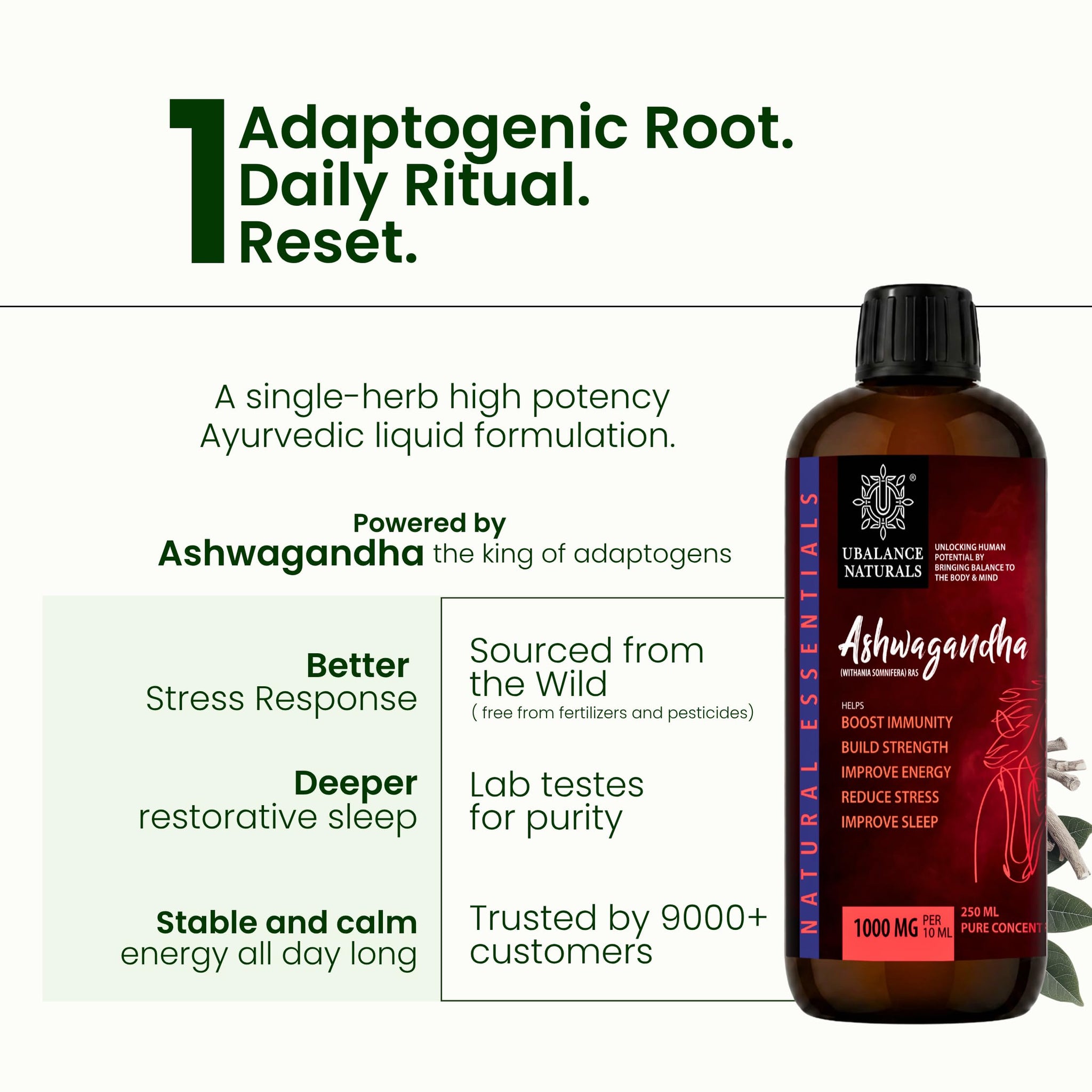 Ubalance Naturals Ashwagandha Ayurvedic Herbal Liquid Supplement, 1000mg per 10ml Serving - front view