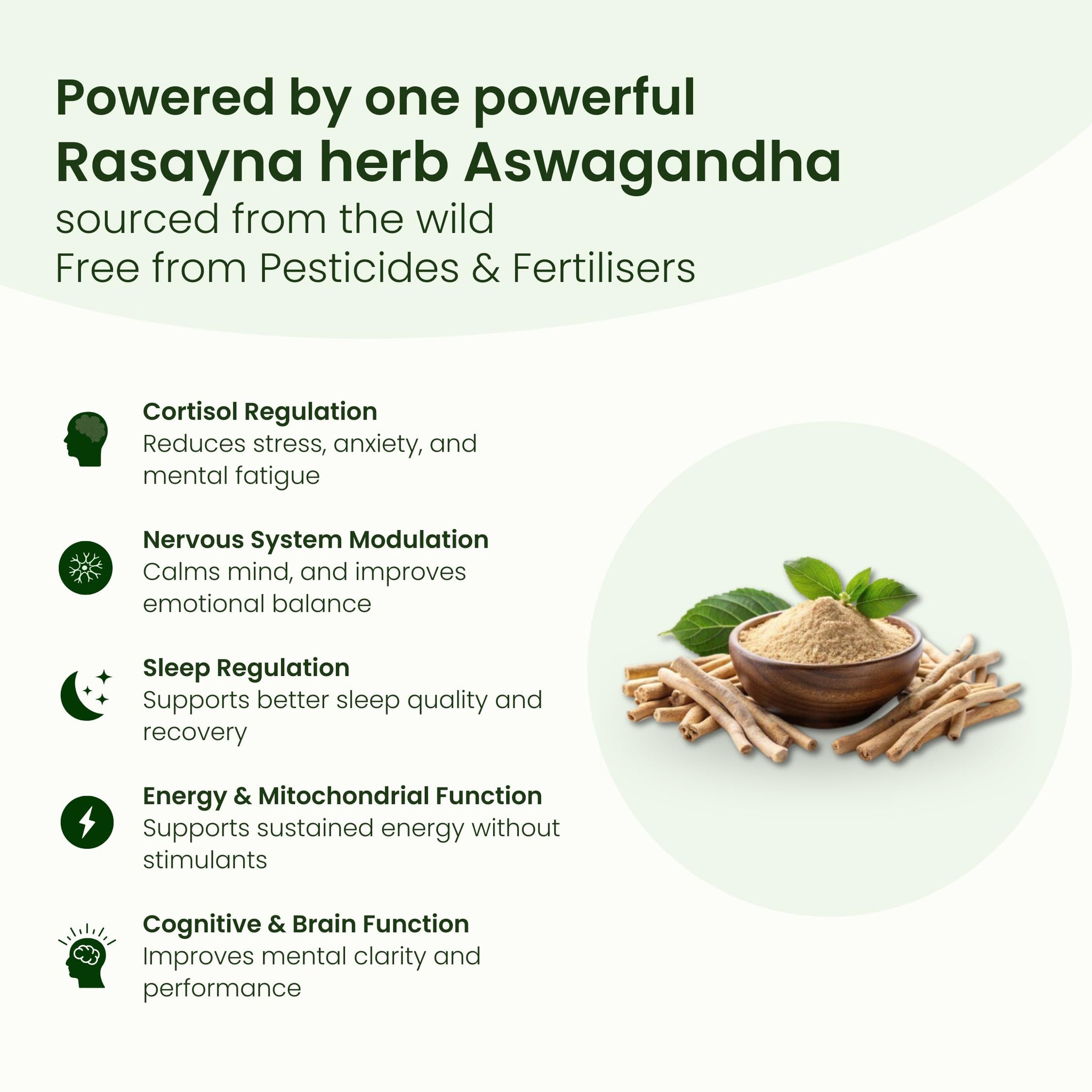Ubalance Naturals Ashwagandha Ayurvedic Herbal Liquid Supplement, 1000mg per 10ml Serving - back view