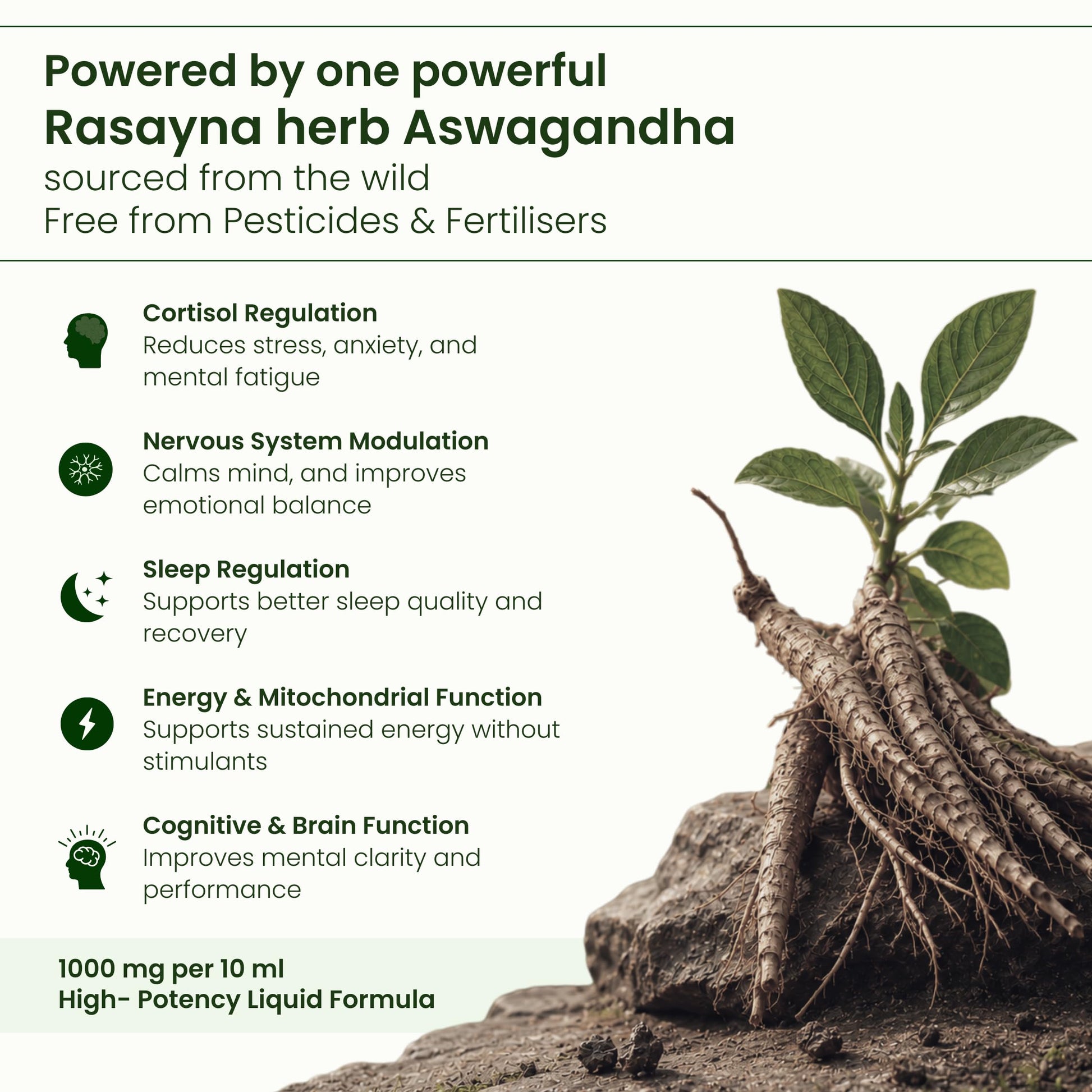 Ubalance Naturals Ashwagandha Ayurvedic Herbal Liquid Supplement, 1000mg per 10ml Serving - label detail