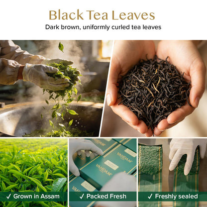 VAHDAM Loose Leaf Tea, 250g, Assorted Flavors, Black Tea and Chai, Direct from India - front view (10)